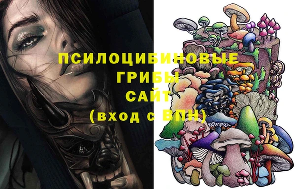 бошки Волоколамск
